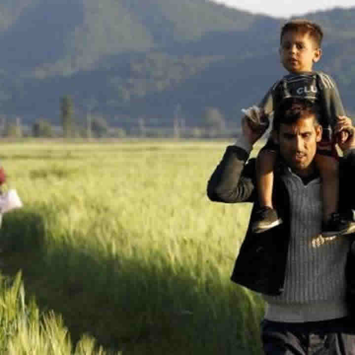 Pytheas - War immigrants